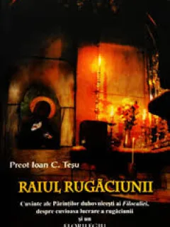 RAIUL RUGACIUNII - IOAN C. TESU