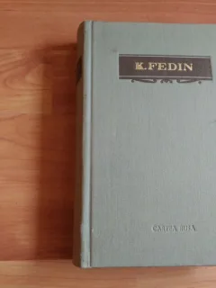 RAPIREA EUROPEI-KONST FEDIN