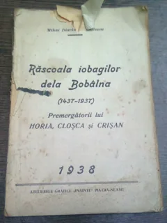 RASCOALA IOBAGILOR DE LA BOBALNA - MIHAI DIACIUC DASCALESCU