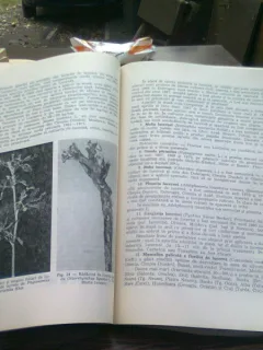 Raspandirea bolilor si daunatorilor plantelor cultivate in Romania in perioada 1961-1971