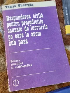 Raspunderea civila pentru prejudiciile cauzate de lucrurile pe care le avem sub paza - Tomsa Gheorghe