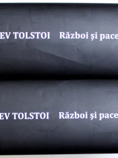 RAZBOI SI PACE DE LEV TOLSTOI , VOL. I - II , 2008