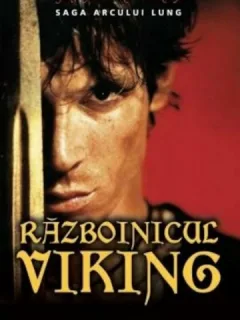 RAZBOINICUL VIKING - JONSON ROBERTS