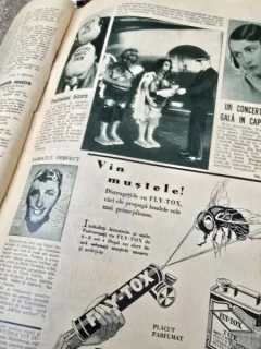 Realitatea Ilustrata, Anul VII, Nr. 329, 18 Mai 1933
