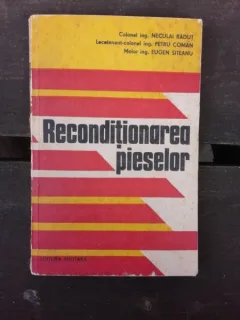 RECONDITIONAREA PIESELOR - NECULAI RADUT