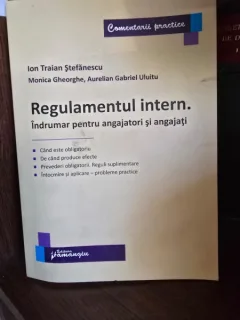 Regulamentul intern. Indrumar pentru angajatori si angajati - Ion Traian Stefanescu