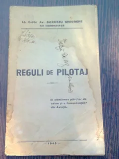 REGULI DE PILOTAJ - BORCESCU GHEORGHE