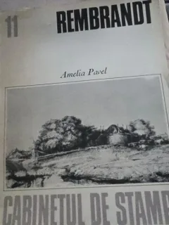 REMBRANDT - AMELIA PAVEL