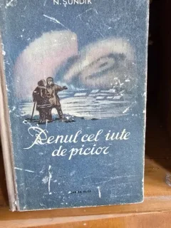 RENUL CEL IUTE DE PICIOR - N. SUNDIK