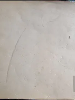 REVISTA ARTA PLASTICA NR.1/1965