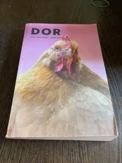 Revista Dor, nr. 28, vara 2017