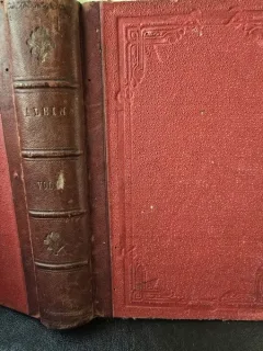 Revista Enciclopedice Populara Albina - Anul I - 1898 25 nr. colegate (25-51)