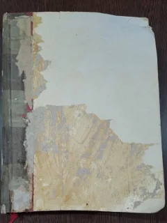 Revista Noua / director B.P. Hasdeu, anul II, no. 1-12 coligate, anul 1889-1890