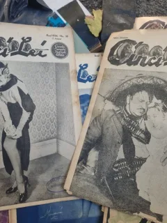REVISTA SAPTAMANALA 5 LEI(APARE SAMBATA) -  DE LA NR 5 PANA LA NR.38 SI  53(IANUARIE,1934- 25 AUGUST