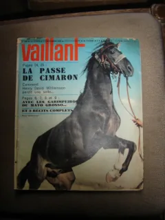 REVISTA VAILLANT - NR.  966/1964