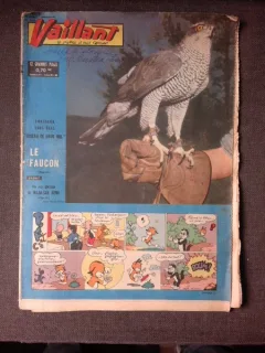 REVISTA VAILLANT NR.827/AN 17