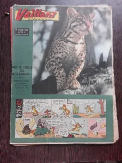 REVISTA VAILLANT NR.828/AN 17