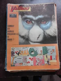 REVISTA VAILLANT NR.836/AN 17