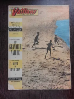 REVISTA VAILLANT NR.840/AN 17