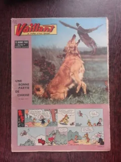 REVISTA VAILLANT NR.859/AN 17