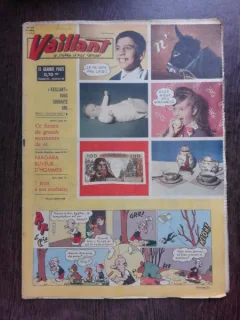 REVISTA VAILLANT NR.868/AN 17