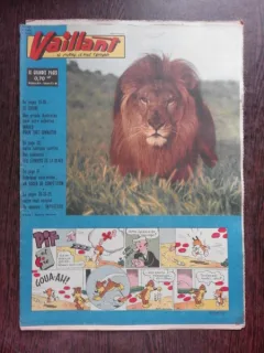 REVISTA VAILLANT NR.875/AN 18