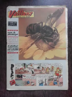 REVISTA VAILLANT NR.880/AN 18