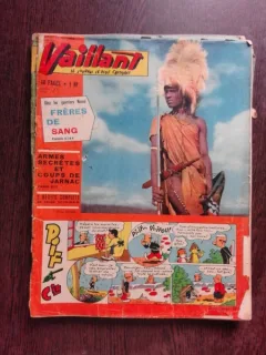REVISTA VAILLANT NR.969/AN 18