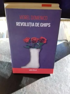 Revolutia de ghips - Viorel Domenico