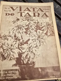 Revsta Viata de Tara Anul VI Nr. 10 / 1928