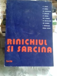 RINICHIUL SI SARCINA - C. ZOSIN