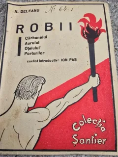 Robii carbunelui, aurului, otelului, porturilor - N. Deleanu