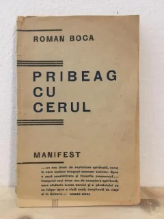 Roman Boca - Pribeag cu Cerul