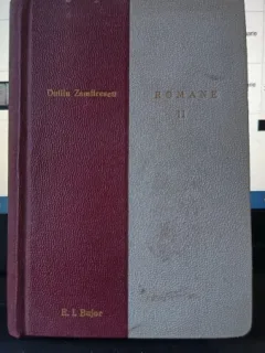 Romane II (In Razboiu , Indreptari , Anna ) - Duliu Zamfirescu