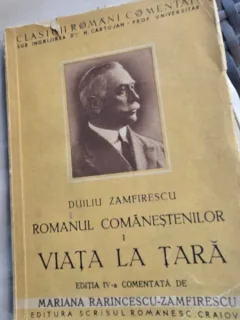 Romanul Comanestilor I, Viata la tara - Duiliu Zamfirescu