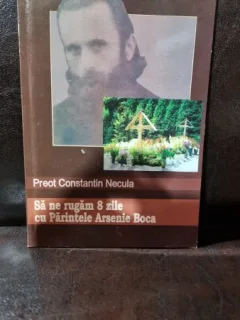 Să ne rugăm 8 zile cu Părintele Arsenie Boca - Preot Constantin Necula