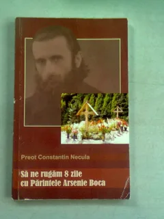 SA NE RUGAM 8 ZILE CU PARINTELE ARSENIE BOCA - CONSTANTIN NECULA