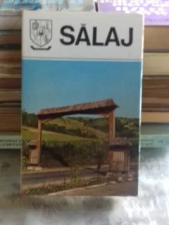 DIN COLECTIA JUDETELE PATRIEI - JUDETUL SALAJ. MONOGRAFIE
