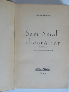 SAM SMALL SBOARA IAR - ERICH KNIGHT
