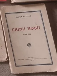 Sanda Movila - Crinii rosii