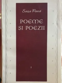 SASA PANA - POEME SI POEZII