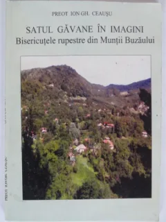SATUL GAVANE IN IMAGINI - ION GH. CEAUSU