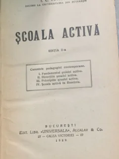 SCOALA ACTIVA - I.C.PETRESCU