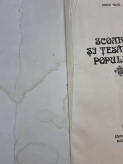 Scoarte si tesaturi populare - Emilia Pavel