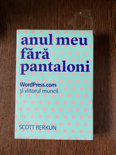 Scott Berkun - Anul meu fara pantaloni