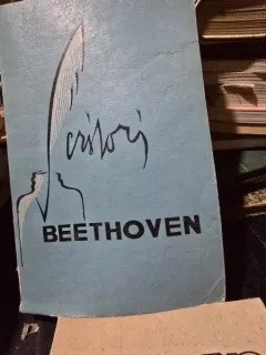 Scrisori - Beethoven