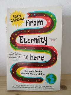Sean Caroll - From Eternity to Here