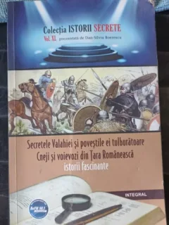 Secretele Valahiei si Povestile Ei Tulburatoare Cneji si Voievozi din Tara Romaneasca , Istorii Fascinante  - Dan-Silviu Boerescu