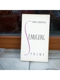 SEMICERC , VIRGIL TEODORESCU