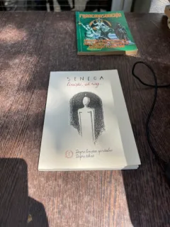 Seneca - Liniste, va rog. Despre linistea spiritului. Despre tihna